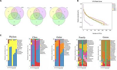 Heterogeneity of CD4+CD25+Foxp3+Treg TCR β CDR3 Repertoire Based on the Differences of Symbiotic Microorganisms in the Gut of Mice